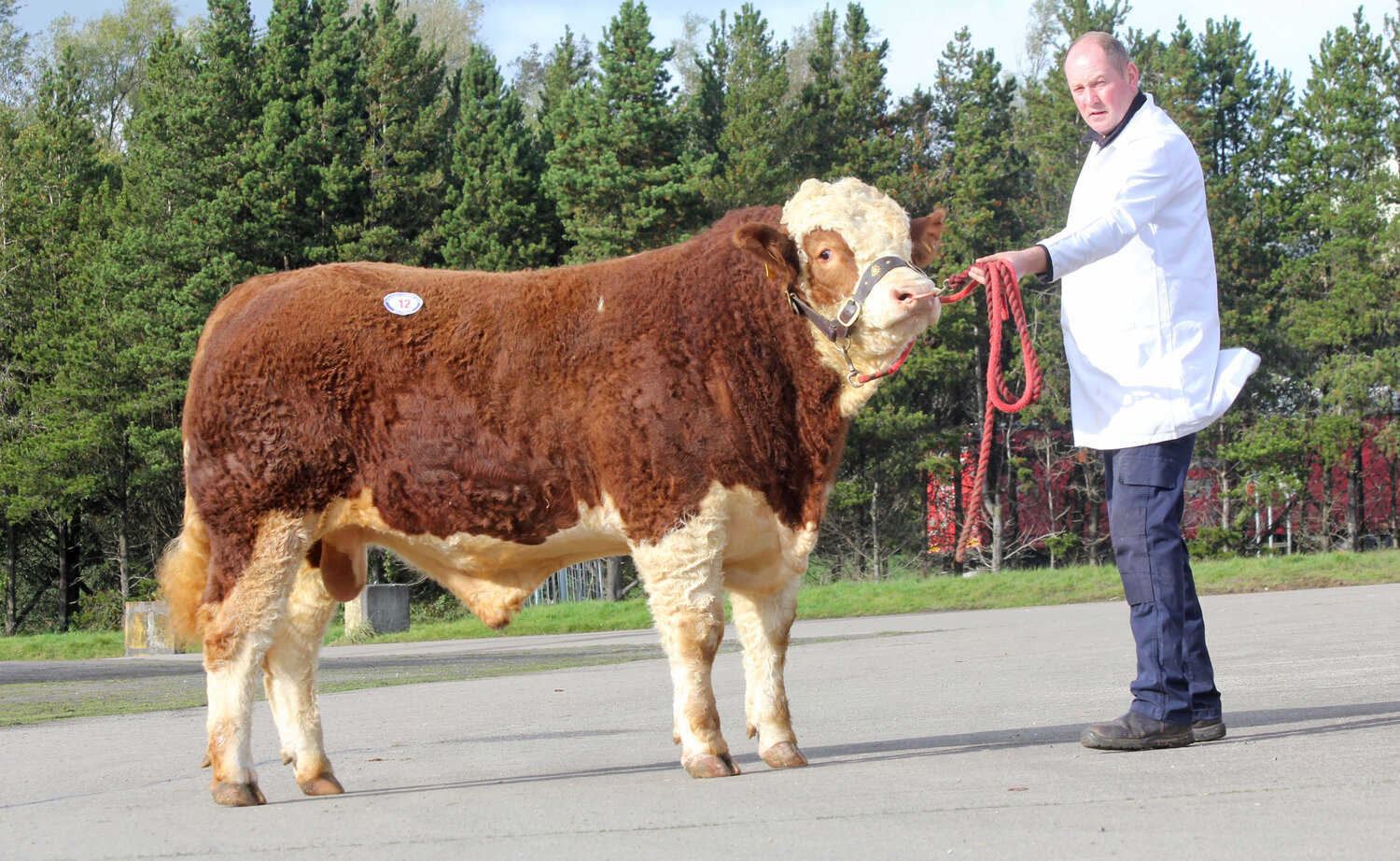 DRUMACRITTEN KYLE SOLD FOR 3,000GNS