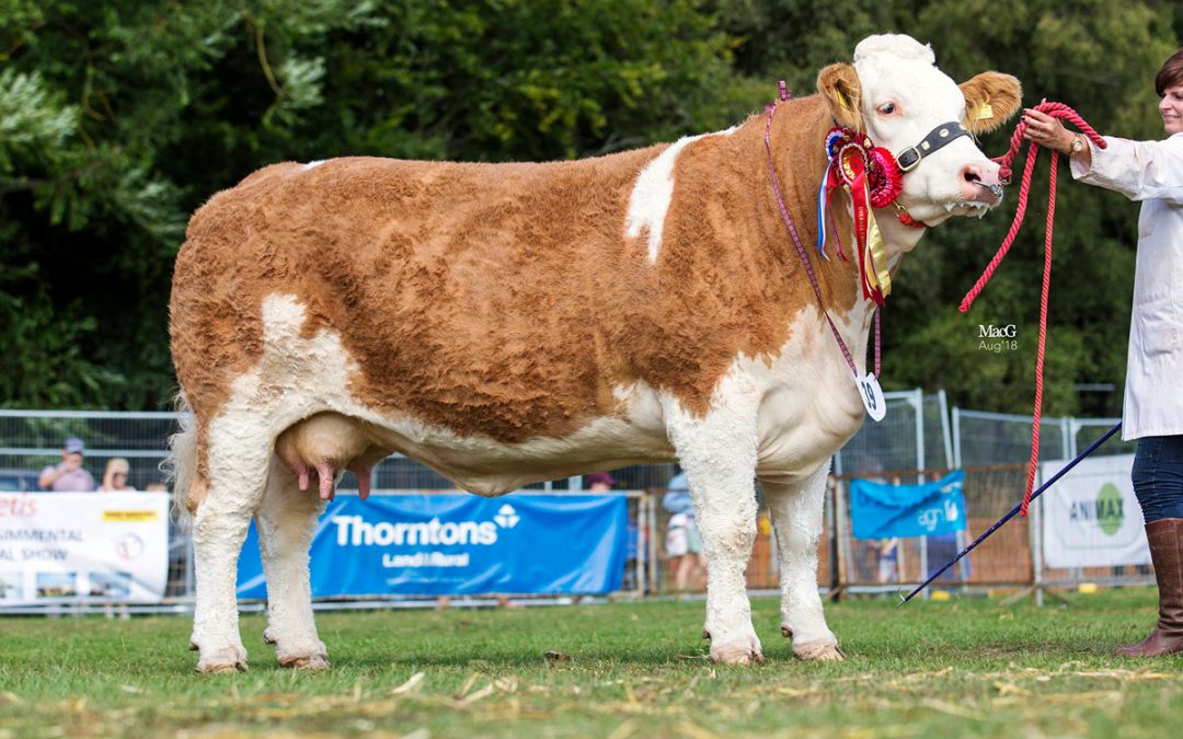 Scottish National Show – Turriff 5th August to 6th August 2018 – Judge Mr S Key