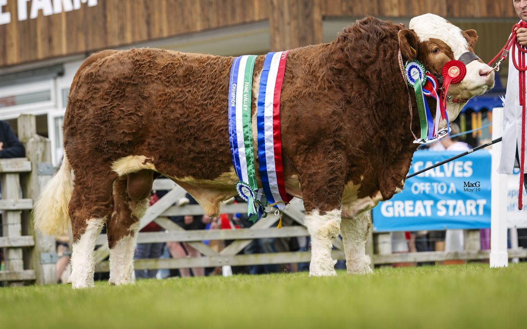 Balmoral, – Royal Ulster Show, 15th to 18th May 2019