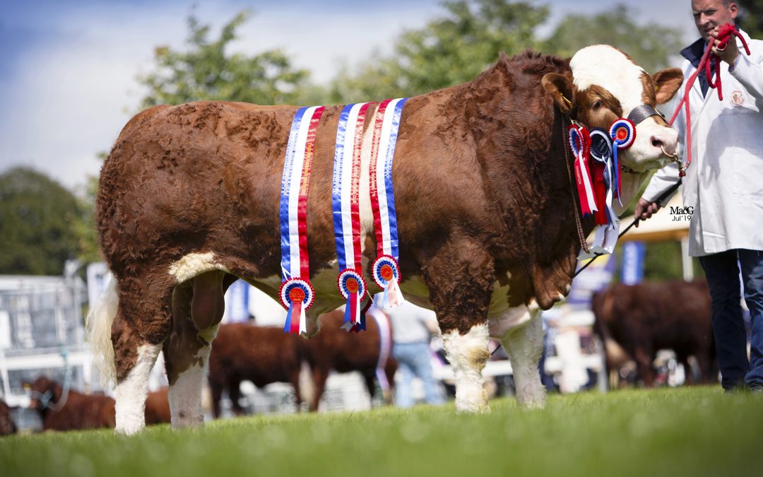 Northern Ireland National Show, Omagh 6th July 2019