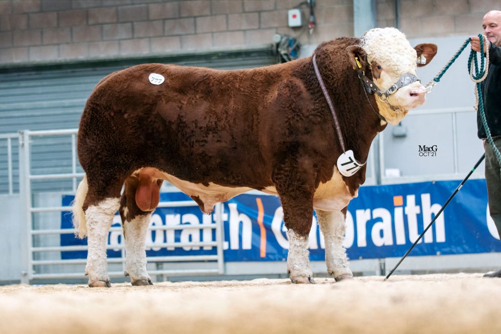 18,000GNS AUCHORACHAN LANDMARK TOPS THE TRADE AT STIRLING SIMMENTAL