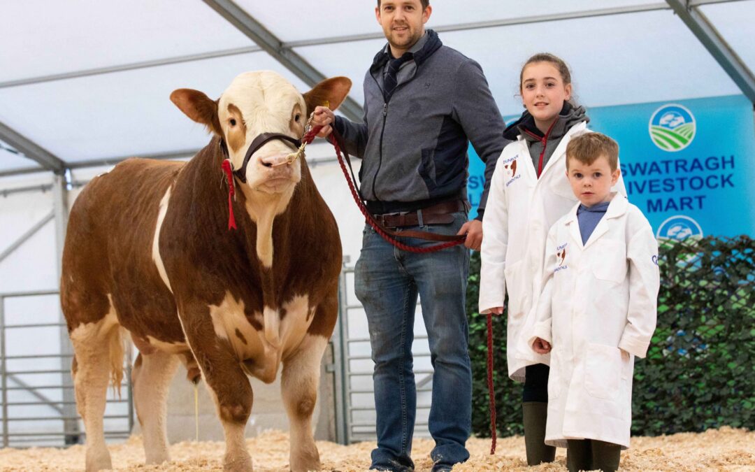 SWATRAGH SIMMENTAL TRADE PEAKS AT  3,700GNS