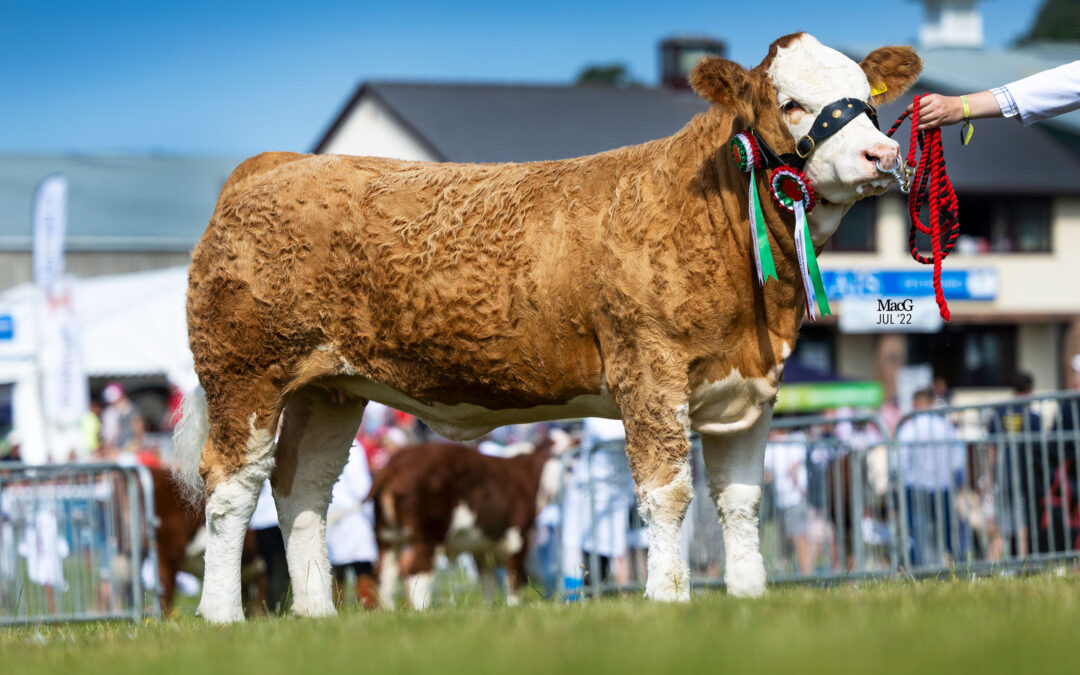 MELODY HITS THE TOP NOTE AT THE ROYAL WELSH SHOW
