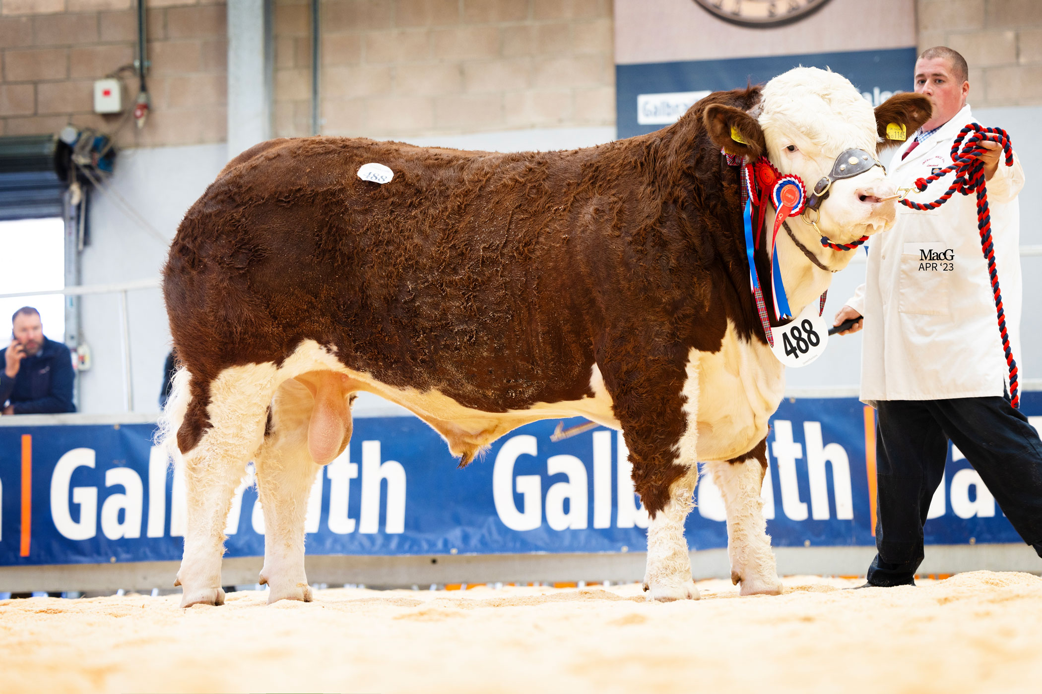 16,000GNS OVERHILL HOUSE NEIL LEADS RECORD SIMMENTAL MAY SALE AVERAGE ...