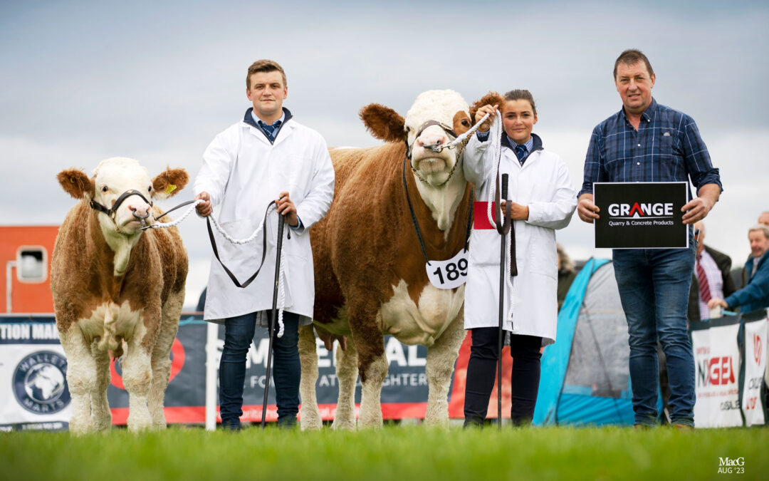 POPES PRINCESS IMMIE POWERS THROUGH TO WIN 2023 SCOTTISH SIMMENTAL NATIONAL SHOW!
