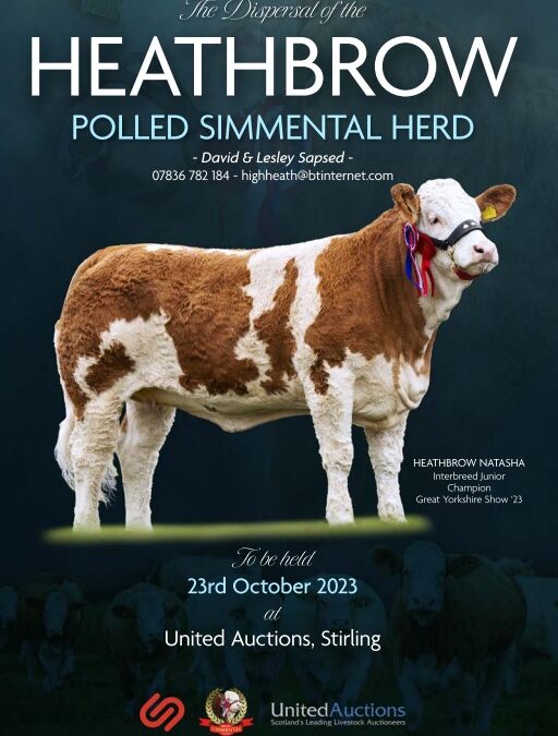 CATALOGUE NOW OUT FOR THE HEATHBROW POLLED SIMMENTAL HERD DISPERSAL SALE ON 23RD OCTOBER AT UNITED AUCTIONS, STIRLING AGRICULTURAL CENTRE