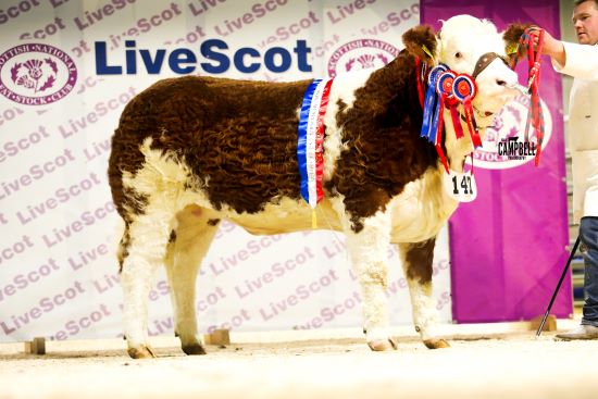 DELFUR NIFTY WINS OVERALL INDIVIDUAL PEDIGREE INTERBREED AT LIVESCOT