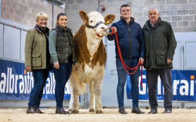 ‘BREEDING THE BEST’ SIMMENTALS TO FIT ALL SYSTEMS